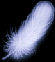Sp`