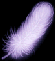 WEBG{NW