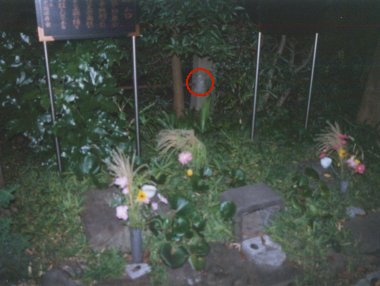 磔台