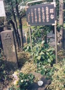 磔台