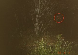 人魂？